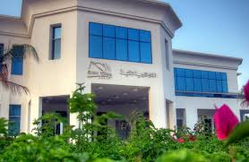 Smart village